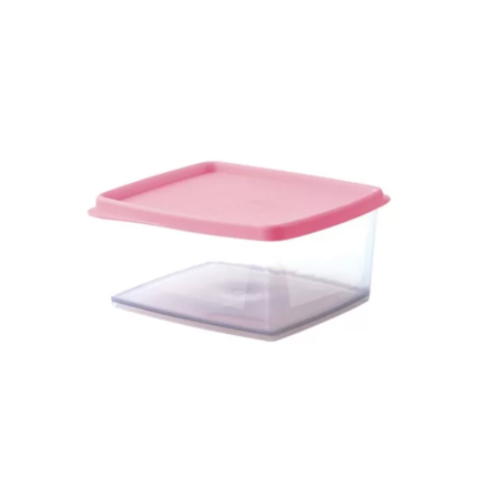 Plasvale Plastic Vierkant Bakje met Deksel 0.5 liter