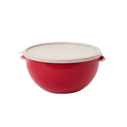 Plasvale Plastic Rond Bakje met Deksel 3.2 liter