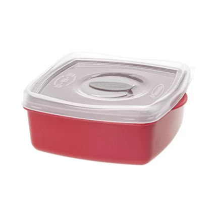 Plasvale Plastic Vierkant Bakje met Deksel 2.5 liter