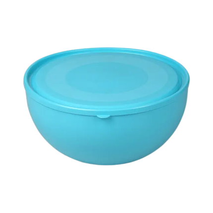 Ucsan Plastic Rond Bakje met Deksel 4 Liter