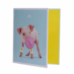 piggy, varkentje, piglet Ringmap – 23 Ringen – Kleurrijke map met print
