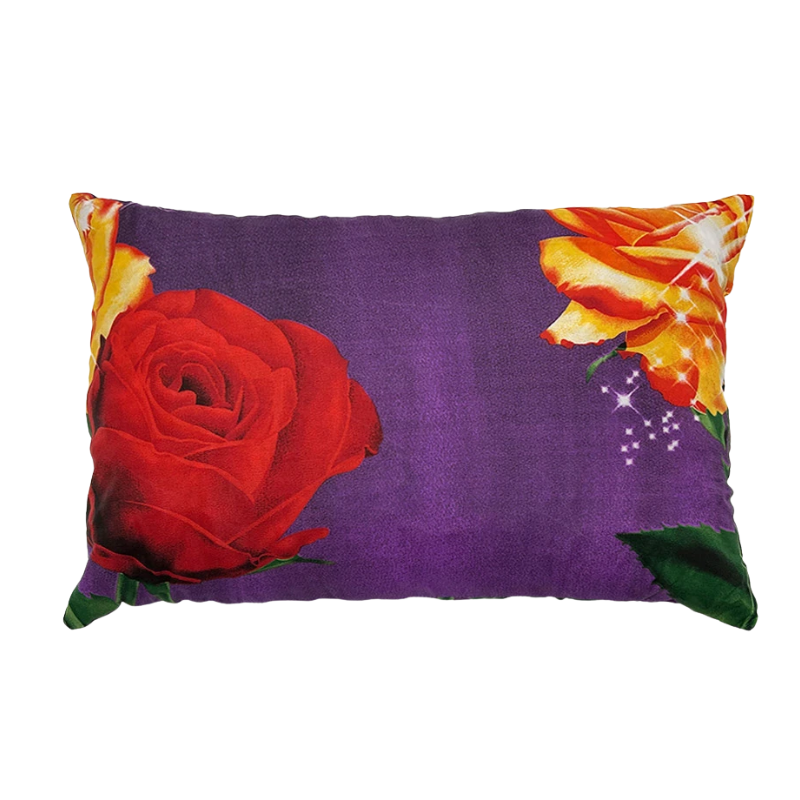296024 Lensyl Goofie Pillow Full Size 20x26 inch hypoallergeen kussen met diverse prints