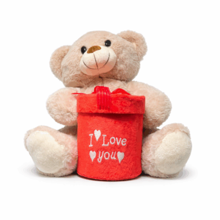 Teddybeer met rode cadeaudoos en I Love You tekst op witte achtergrond
