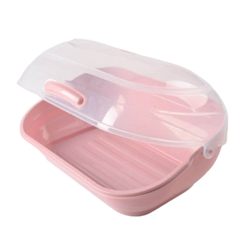 Violet kunststof brooddoos met transparante deksel en handvat op witte achtergrond