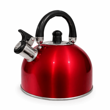 Outdoor Connection paarse RVS fluitketel 2.5 liter met zwarte handgreep