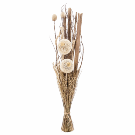decoratieve droogbloemen naturel woondecoratie voor vaas en interieur
